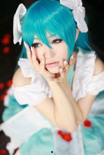 2016年av cos番号,揭秘av cos番号背后的故事