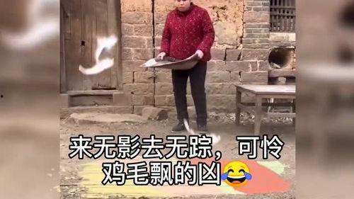 爆料生姜的视频,养生佳品背后的神奇功效