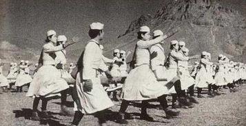 日军女子护理队在线播放,战地天使的悲壮传奇