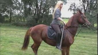 女子丝袜骑马,女子丝袜骑马的独特魅力