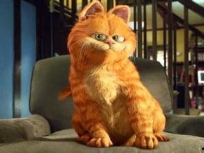 加菲猫电影免费观看完整,免费畅享欢乐时光