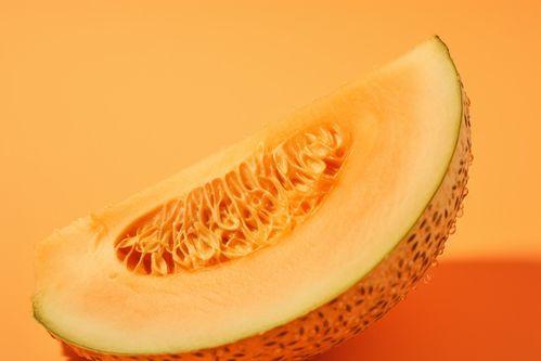 蜜瓜网视频,揭秘生活小技巧与趣味知识