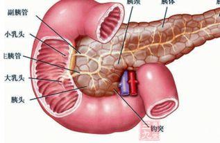明星胰腺炎死亡,揭秘明星胰腺炎悲剧背后的真相