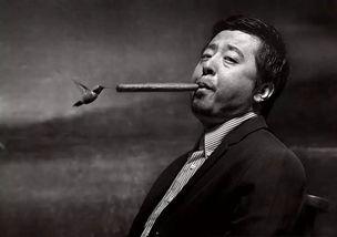 任逍遥在线播放 贾樟柯