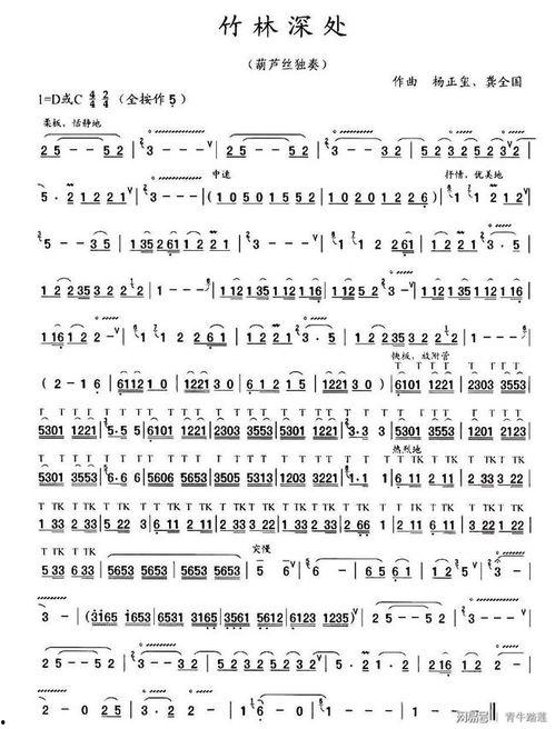 葫芦丝竹林深处教学视频,竹林深处教学视频精华解析