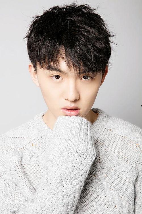 郑伟爆料视频大全下载免费,揭秘幕后真相，免费下载大揭秘