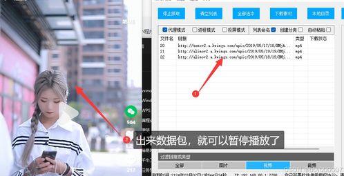 爆料视频网小程序下载,下载攻略与功能解析