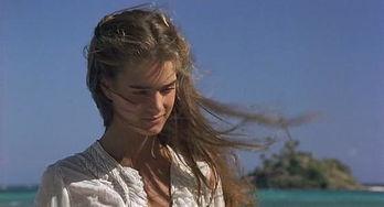 青春珊瑚岛手机免费观看,免费畅享青春记忆之旅