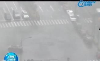 葫芦网视频,揭秘神秘葫芦世界的奇幻之旅