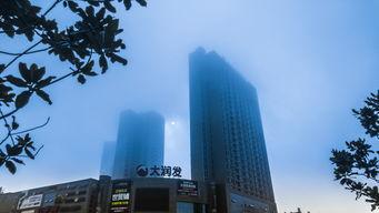 世贸中心手机在线播放