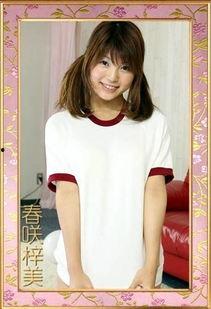 av诱惑网址,揭秘AV网站背后的真相与危害