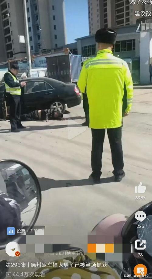 德州车祸爆料最新消息,事故原因调查及伤亡情况公布