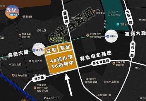 藏龙岛交通爆料最新消息,最新爆料揭示出行变革