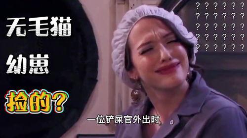 无毛-视频,探索人类毛发消失之谜